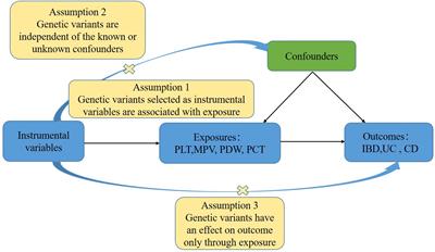 Platelet indices and inflammatory bowel disease: a Mendelian randomization study